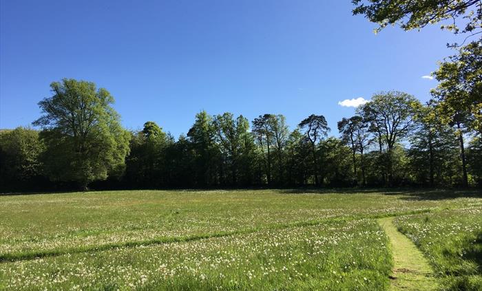 12 Acre Meadow - Dogs will love it.